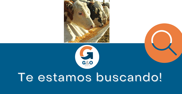 Representante técnico Comercial - Nutrición Animal Bs As