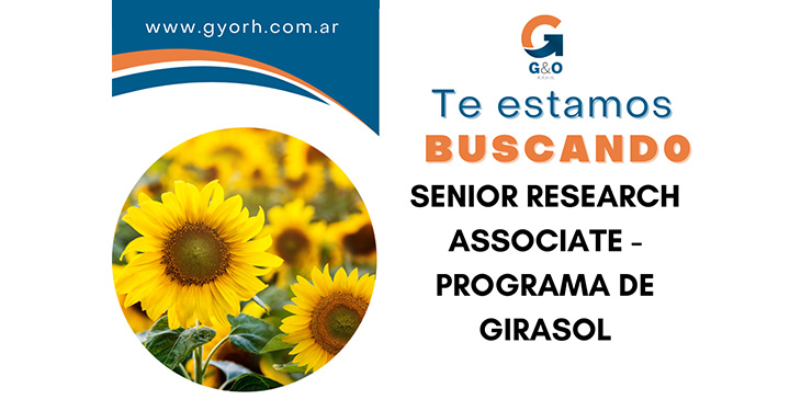 Senior/Research Associate - Programa de mejoramiento de girasol